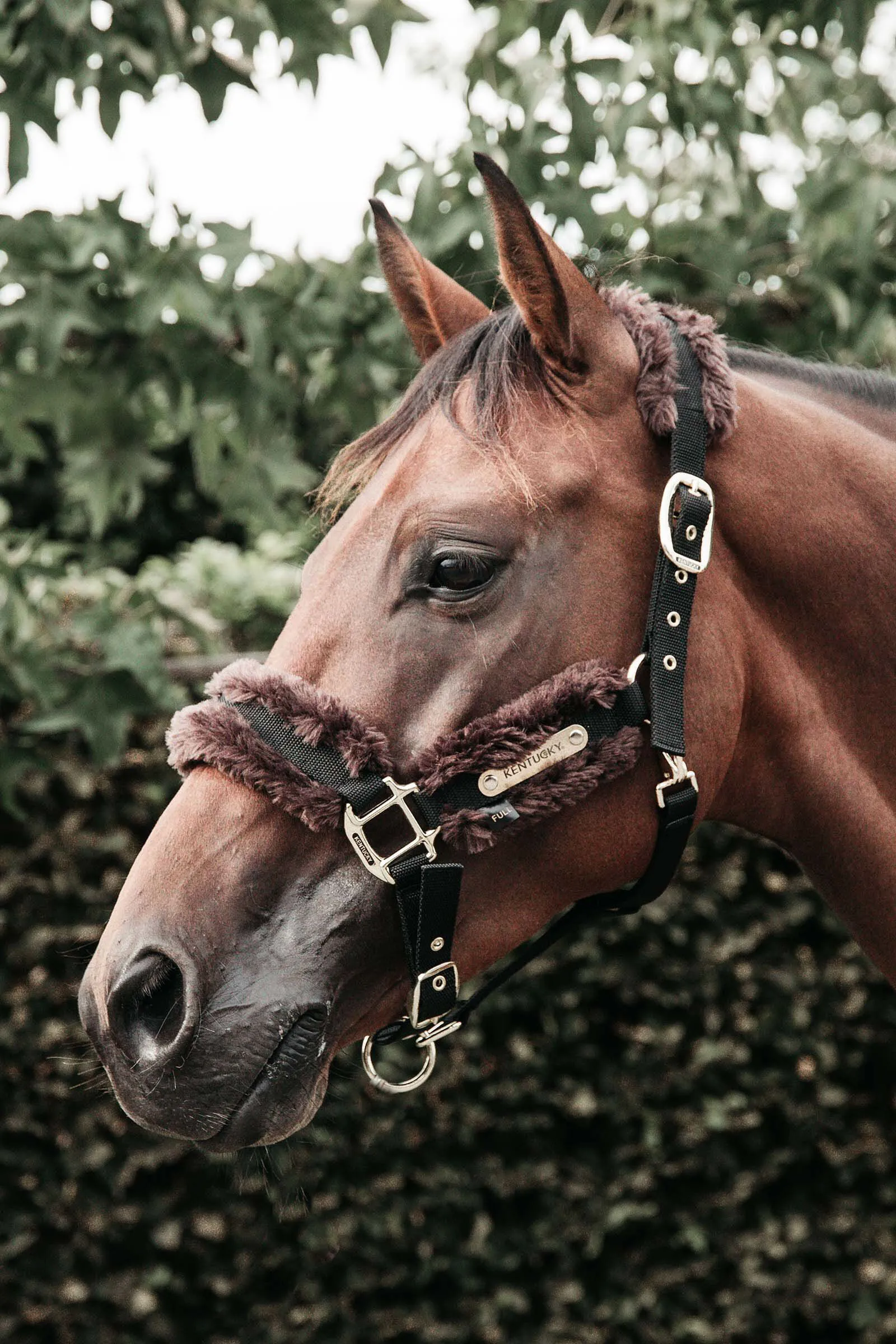 Capezza in pelle di pecora di nylon Kentucky Horsewear